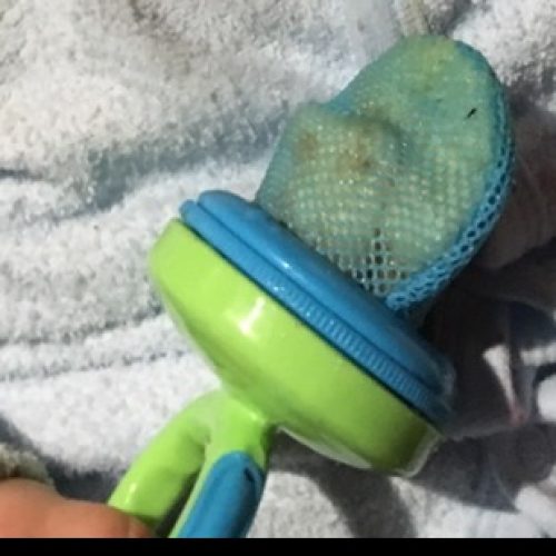 Tommee Tippee Fresh Food Feeder Reviews Opinions Tmb
