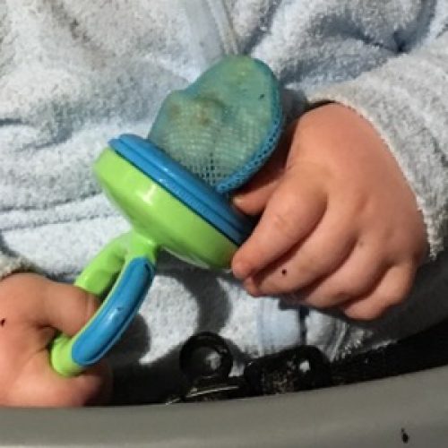 Tommee Tippee Fresh Food Feeder Reviews Opinions Tmb