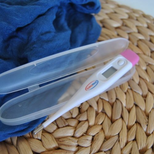 Surgipack Ovulation Digital Thermometer Reviews Tell Me Baby