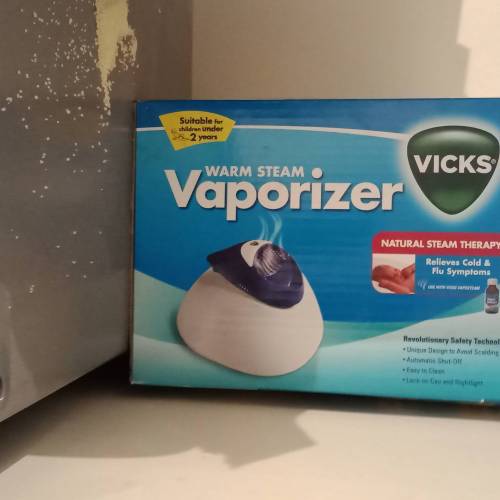 Vicks Warm Steam Vaporizer Reviews Tell Me Baby