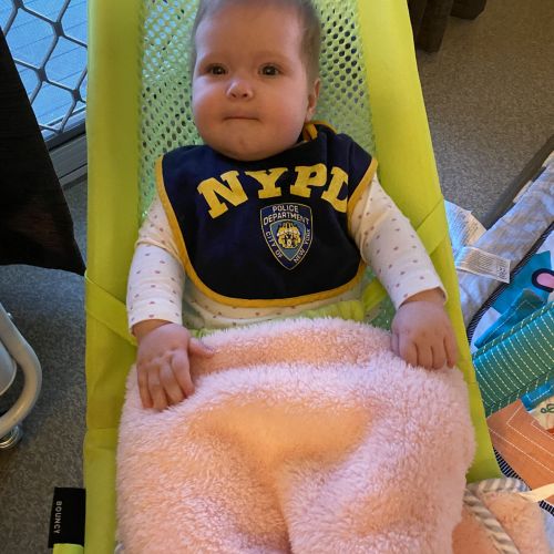 veebee bouncer review