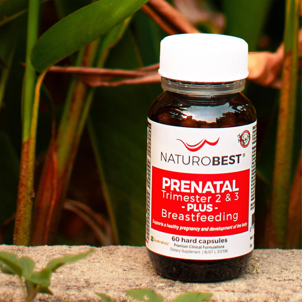 NaturoBest Prenatal Trimester 2 & 3 Plus Breastfeeding Reviews Tell